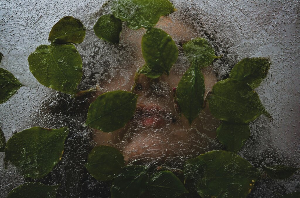 ice water